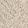 Horizon Carpet: Impressive Edge Crumb Cookie